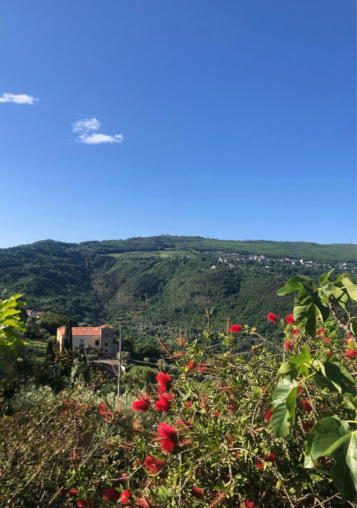 Malache Torchiara Exterior photo